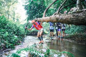 BIB: 
                            <button type="button" onclick="openModal(25442415)" class="btn btn-primary btn-sm float-right btn-popup" data-toggle="modal" data-target=".modal-high-quality">
                        <i class="fas fa-shopping-cart"></i> Add to Cart
                    </button>
                                            <button type="button" onclick="isThisMe(25442415, true)" class="btn btn-success btn-sm float-right btn-popup btn-isme hidden" data-toggle="tooltip" data-placement="bottom" title="นี่คือรูปของคุณใช่ไหม คลิกที่นี่เพื่อเอาเข้าอัลบั้ม">
                        <i class="fas fa-plus"></i> Add to album
                    </button>
                    <button type="button" onclick="isThisMe(25442415, false)" class="btn btn-warning btn-sm float-right btn-popup btn-isnotme hidden">
                        <i class="fas fa-ban"></i> Remove from album
                    </button>